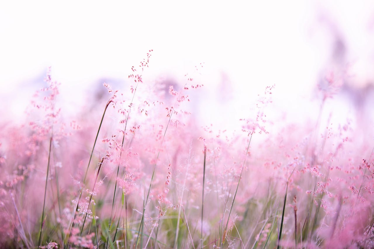 Natural Remedies for Cold and Flu Season