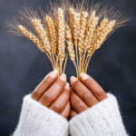 Leaky Gut & Gluten Sensitivity Testing